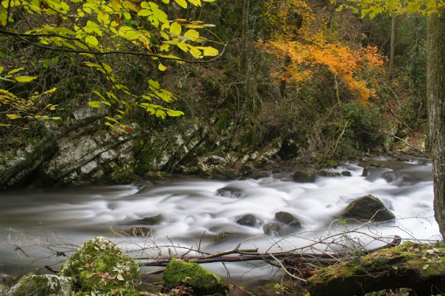 Caras Gorges in autumn