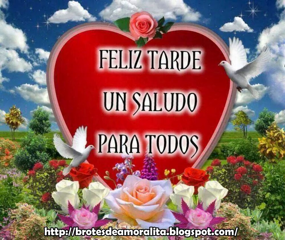 Hola Amigos Que Tal Esta Ma±ana Espero Que Bien Por Que Estoy Hola Amigos Que Tal Esta Ma±ana Espero Que Bien Por Que Estoy Seguro Que La Tarde Va Estar Mucho Mejor Feliz Tarde Lindas Y Hermosas Tarjetas Para