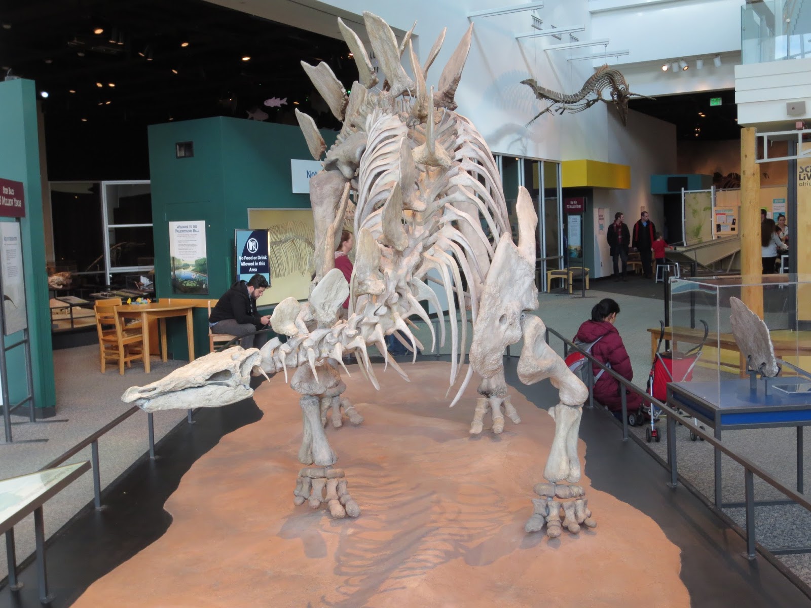 Equatorial Minnesota Meanwhile, over at the Science Museum