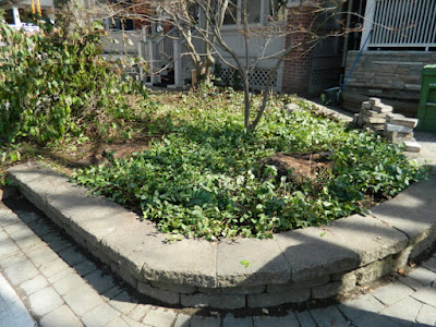 Riverdale Spring Cleanup Front Raised Bed After by Paul Jung Gardening Services--a Toronto Organic Gardener Riverdale Spring Cleanup Front Raised Bed After by Paul Jung Gardening Services--a Toronto Organic Gardener