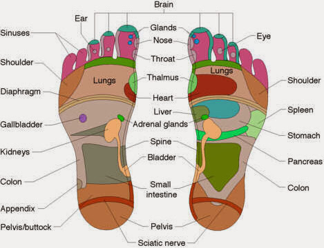 Reflexology hands and feet