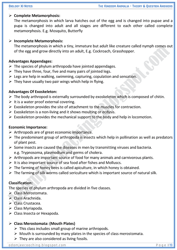 kingdom-animalia-descriptive-question-answers-biology-11th