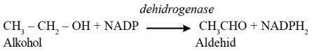 dehidrogenase
