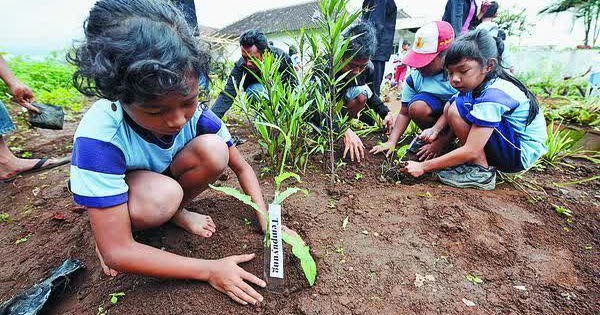 BANI SALAM, S.Pd: KUNCI JAWABAN BUKU TEMATIK TEMA 9 KELAS 5 SD