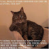 Never Too Late: if you missed the IPKat last week!