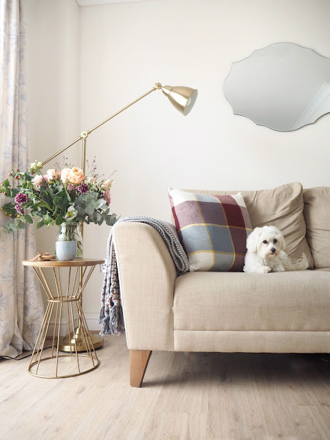 Keeping your home clean, tidy and stylish with pets featuring the best cleaning tips, how to get rid of pet hair and odours, and why pet products don't need to be ugly