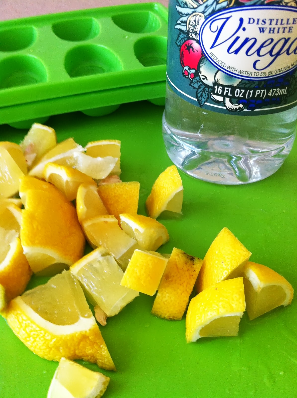 our carlson life diy thursday homemade garbage disposal freshener