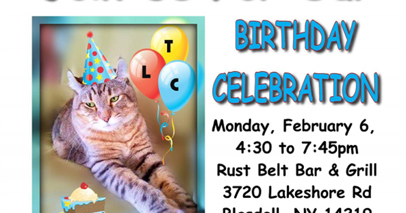 Ten Lives Club Cat Adoption Group HAPPY 16TH BIRTHDAY TLC!