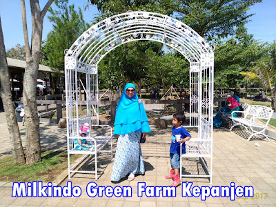 Milkindo Green Farm: Wisata Edukasi dan Petualangan Anak