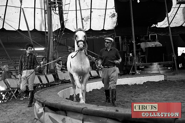 Cirque National Suisse Knie 1970 Répétition de dressage des chevaux de Fredy Knie senior sous le chapiteau du Cirque National Suisse Knie 1970