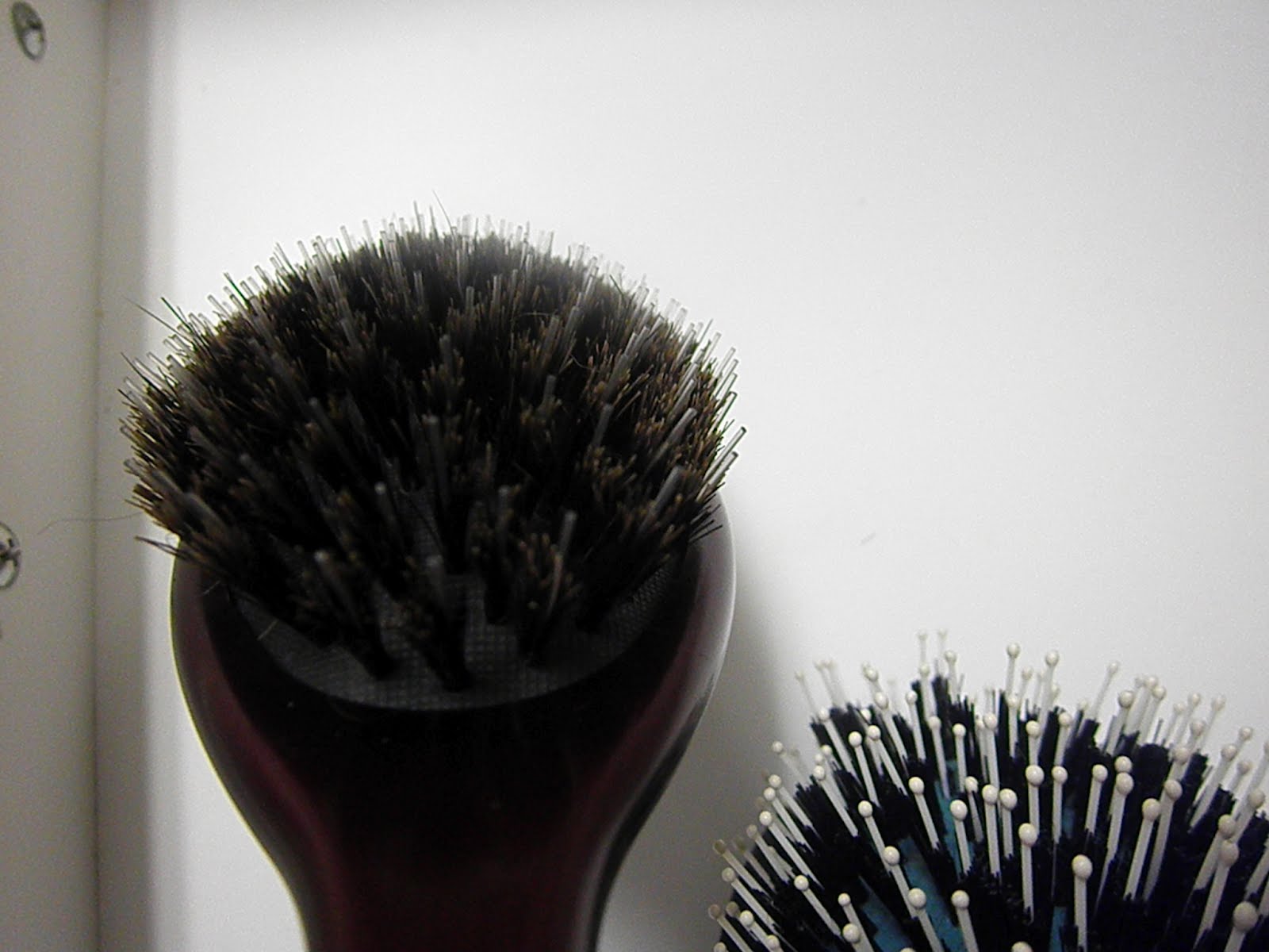 PhenomenalhairCare Mixed Bristle Brush Review The Bulb