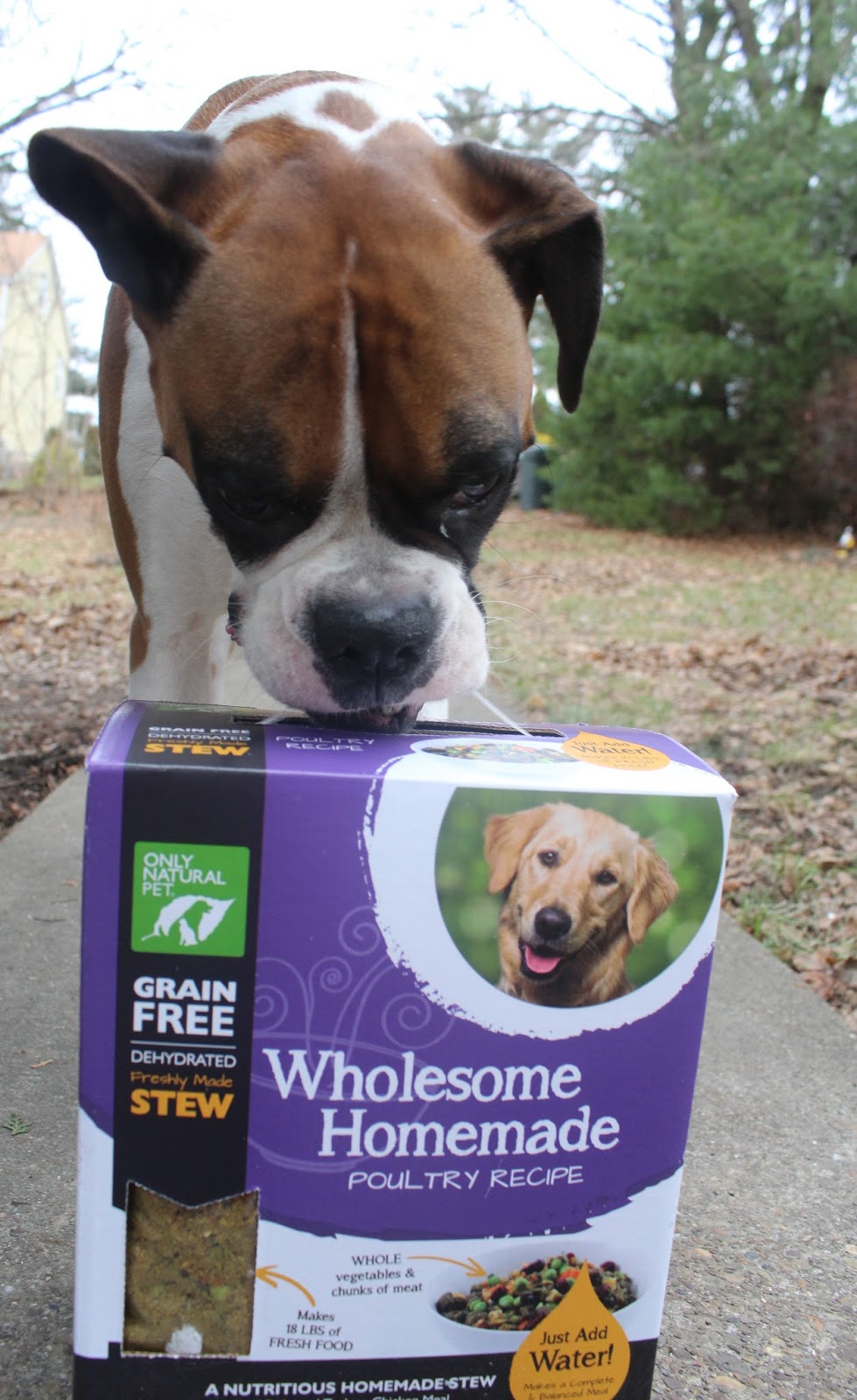 Dog Madness Freshly Nutritious Balanced & Complete Wholesome Homemade