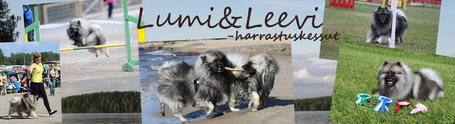 Lumi&Leevi