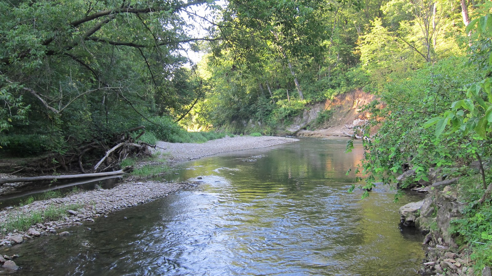 Travels with Rocky the Dog: Forestville State Park