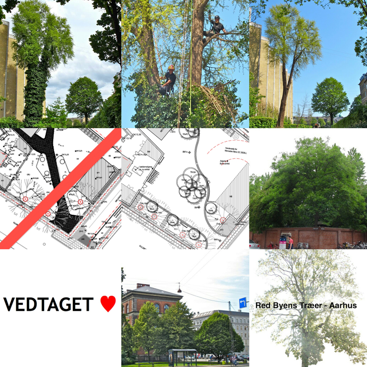 kompleksitet Displacement øre Red Byens Træer: 2016