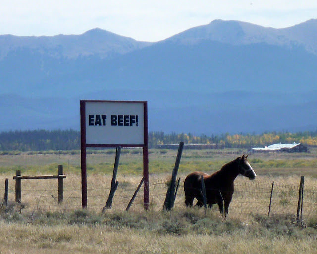 gathers no moss Walden, CO Kremmling, CO