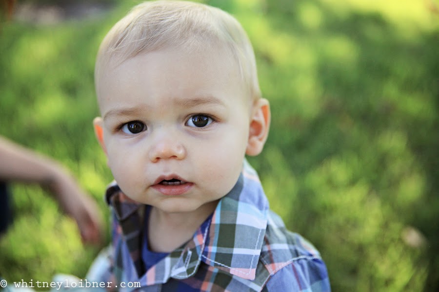 one year old photos, family photography, arkansas children's photographer