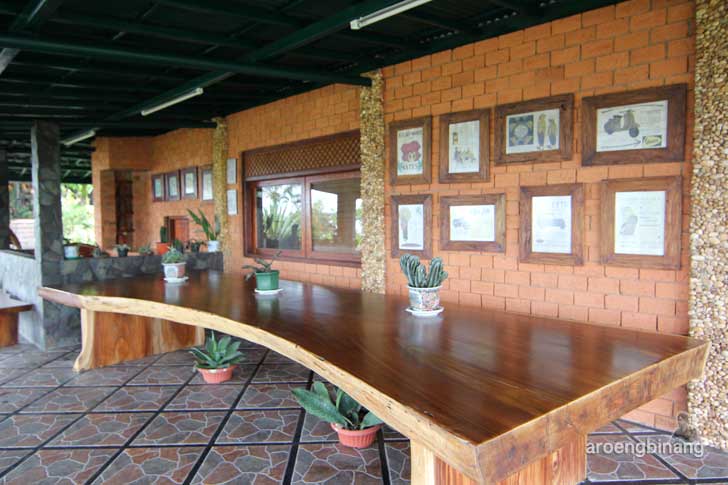 villa la lita gunung bunder