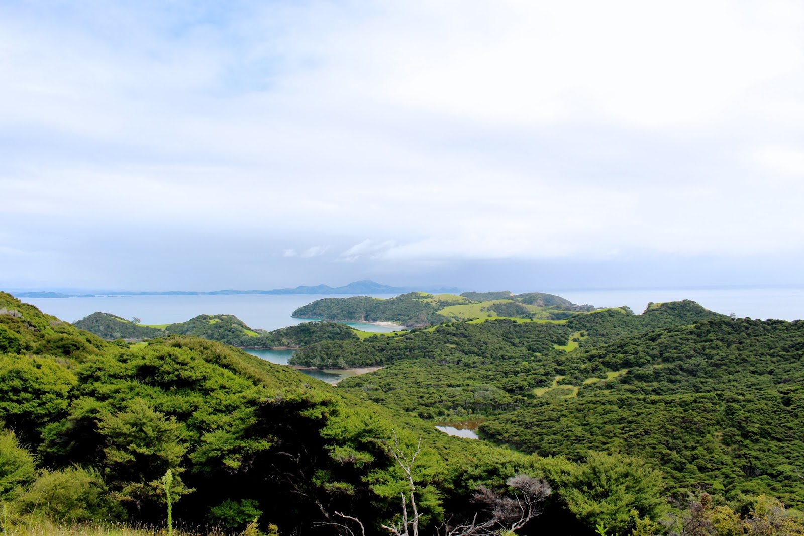 New Zealand's best hikes | Urapukapuka Island