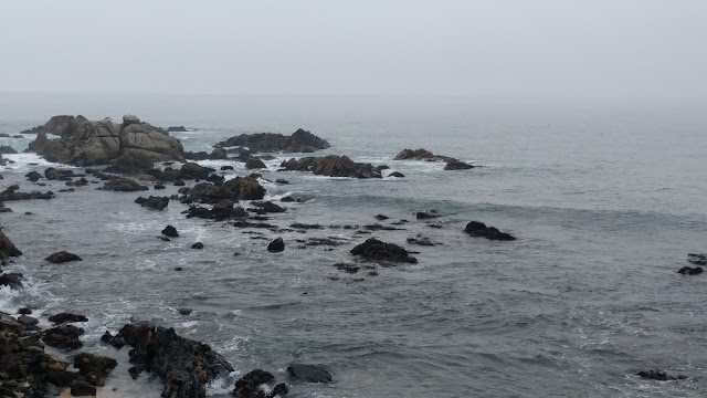 the Pacific- Concon, Chile the Pacific- Concon, Chile