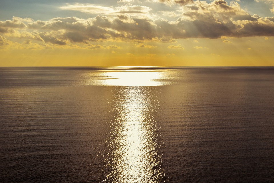 Everyone of us is placed by god on earth for a reason bible verses about purpose driven life