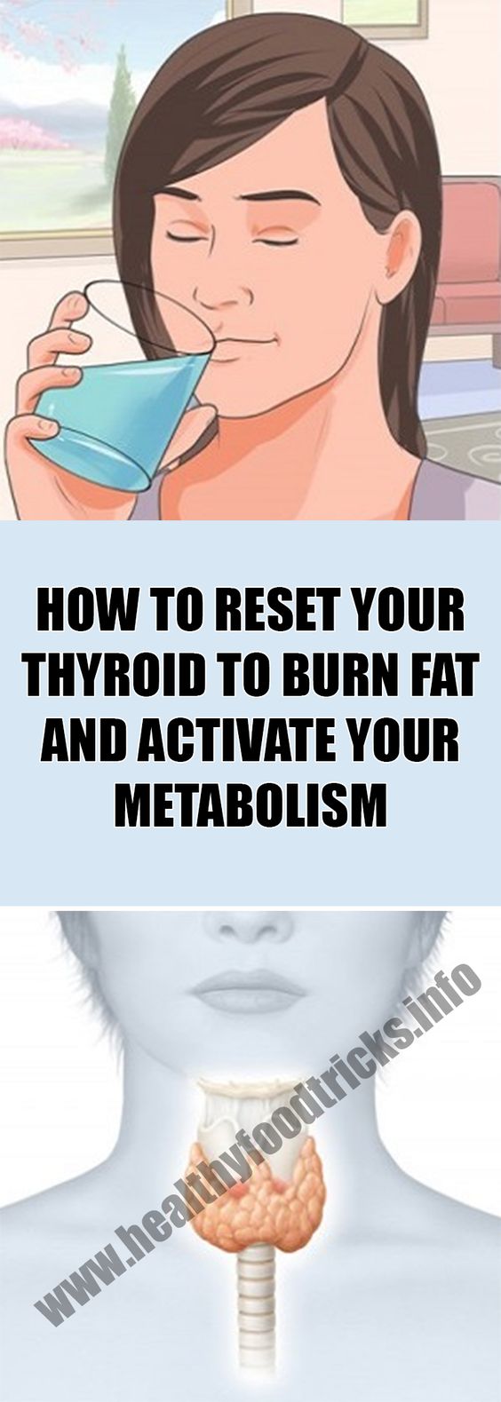 SWEET HEALTH DIY BLOG HOW TO RESET YOUR THYROID TO BURN FAT AND