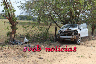 Rescatan a trailero secuestrado en San Juan Evangelista Veracruz