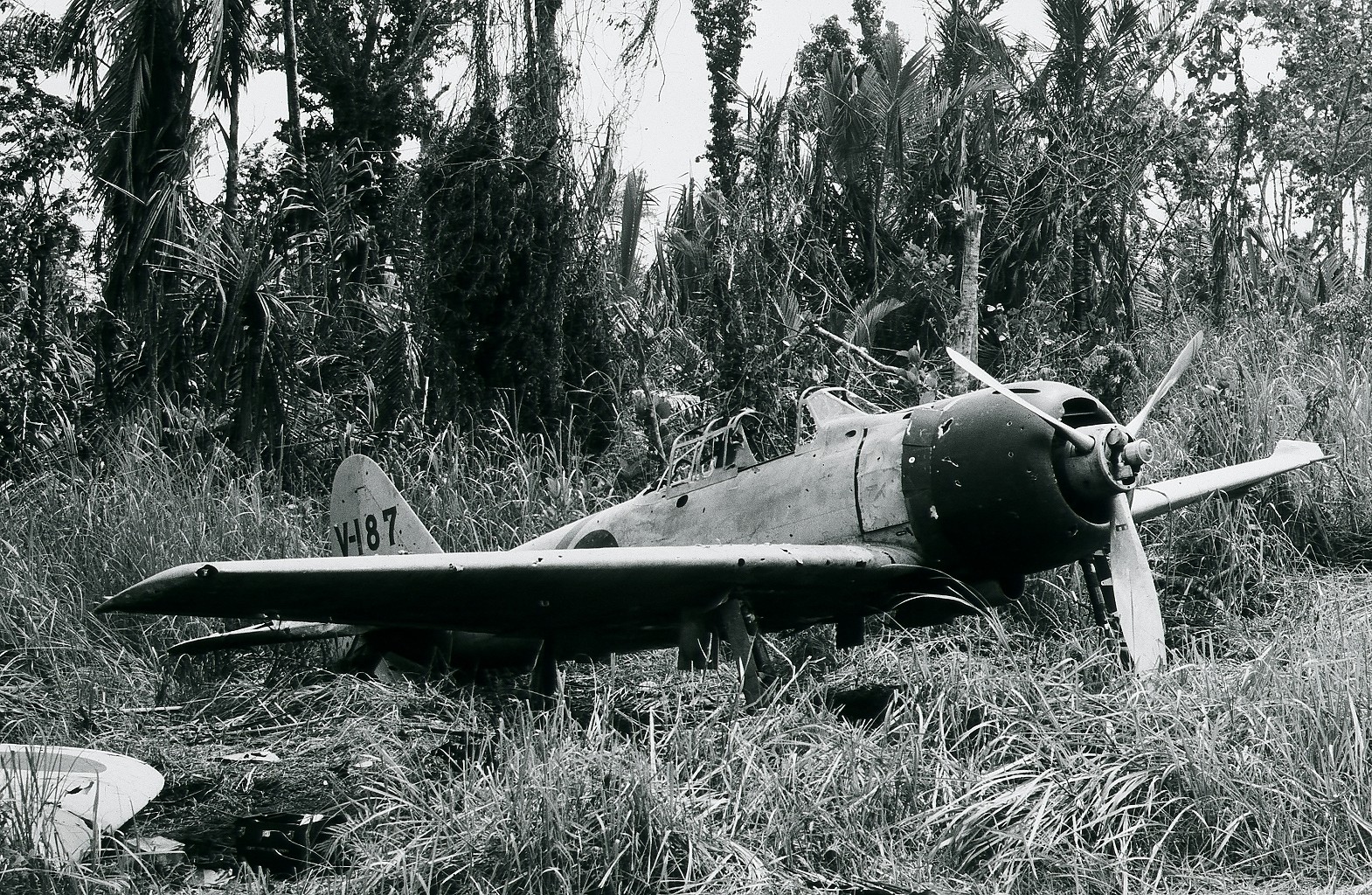 Buna+A6M-3+Zero.jpg