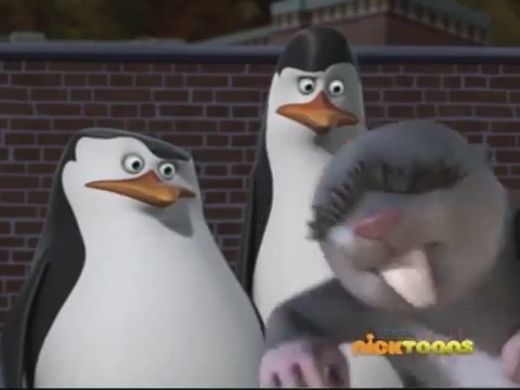 Ver Los pingüinos de Madagascar Temporada 3 - Capítulo 11