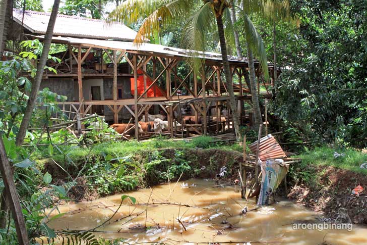 kampung rusa depok
