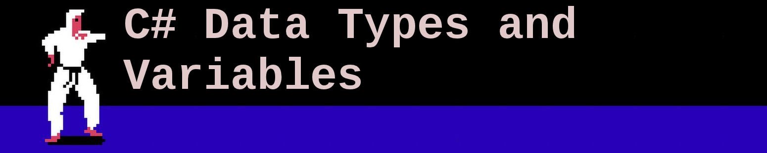 C# Ninjitsu: Data Types in C Sharp