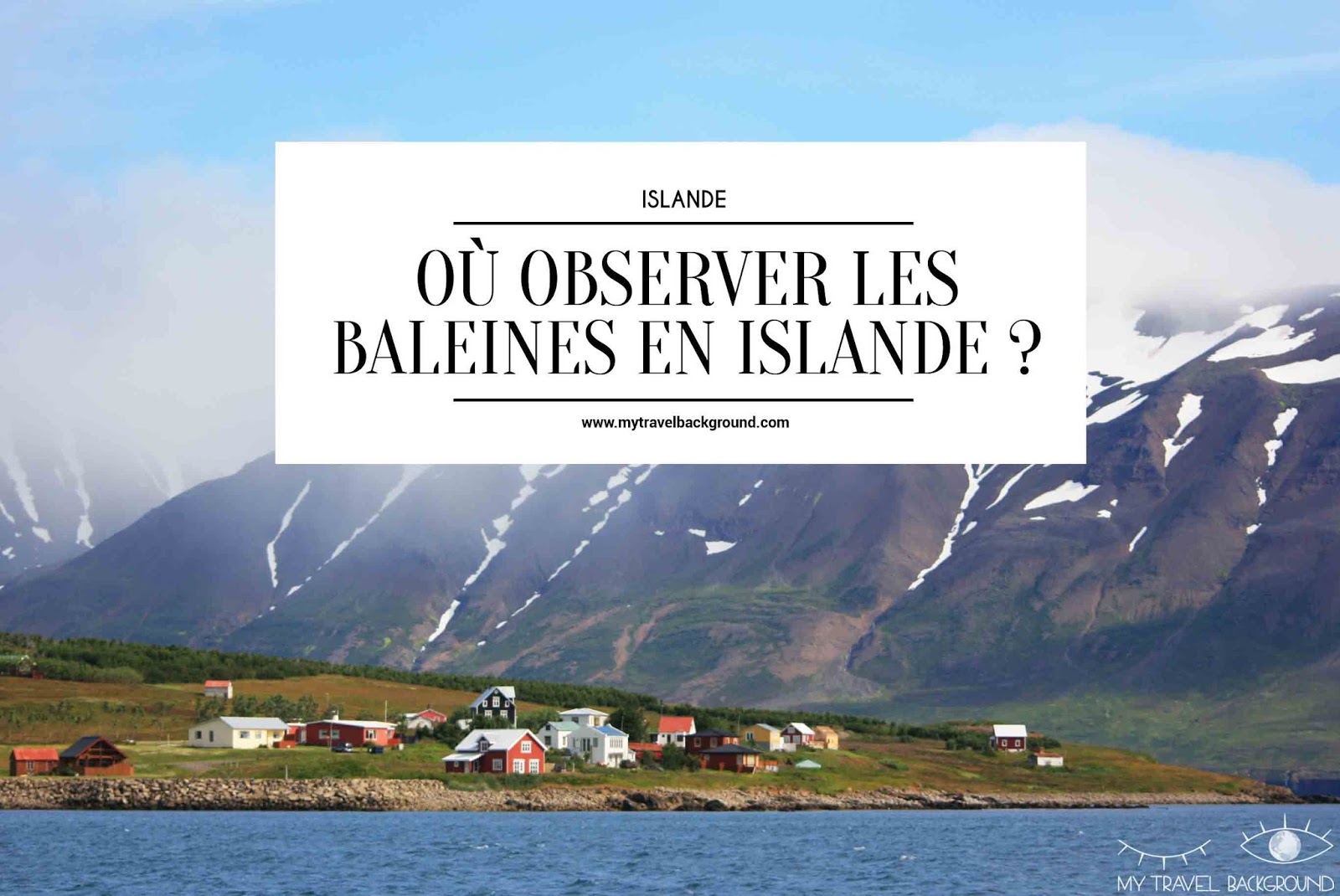 My Travel Background : Où observer les baleines en Islande?
