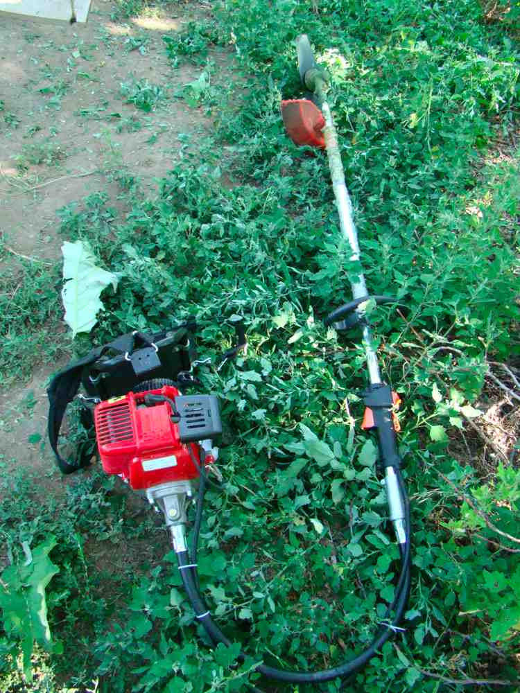 the art of sojourning: of weed-wacking and complacency