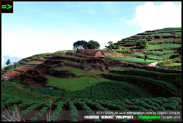 KABAYAN, BENGUET