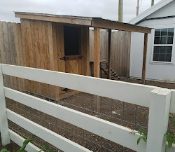 joanna gaines chip chicken coop goat maybe pen future