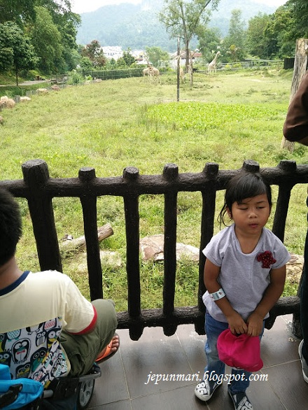 Zoo Negara, kou tunggu kami datang !! Zoo Negara, kou tunggu kami datang !!