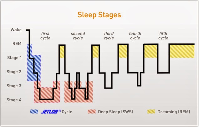 سلاسل النوم , sleep cycles