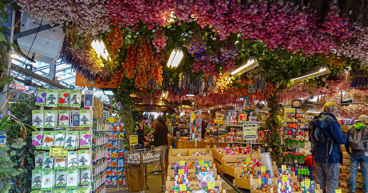 Walking Arizona Amsterdam Flower Market