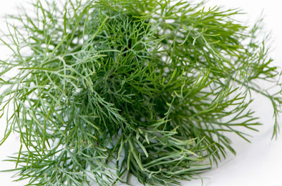 how-to-use-delicate-herbs-in-cooking