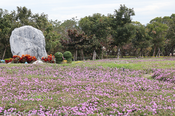 台中后里景點|后里花田綠廊|環保公園|1.2公頃繽紛花海|棒棒糖花海 台中后里景點|后里花田綠廊|環保公園|1.2公頃繽紛花海|棒棒糖花海