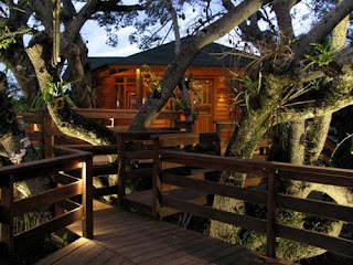 The Most Beautiful Tree House Plans The-Most-Beautiful-Tree-House-Plans