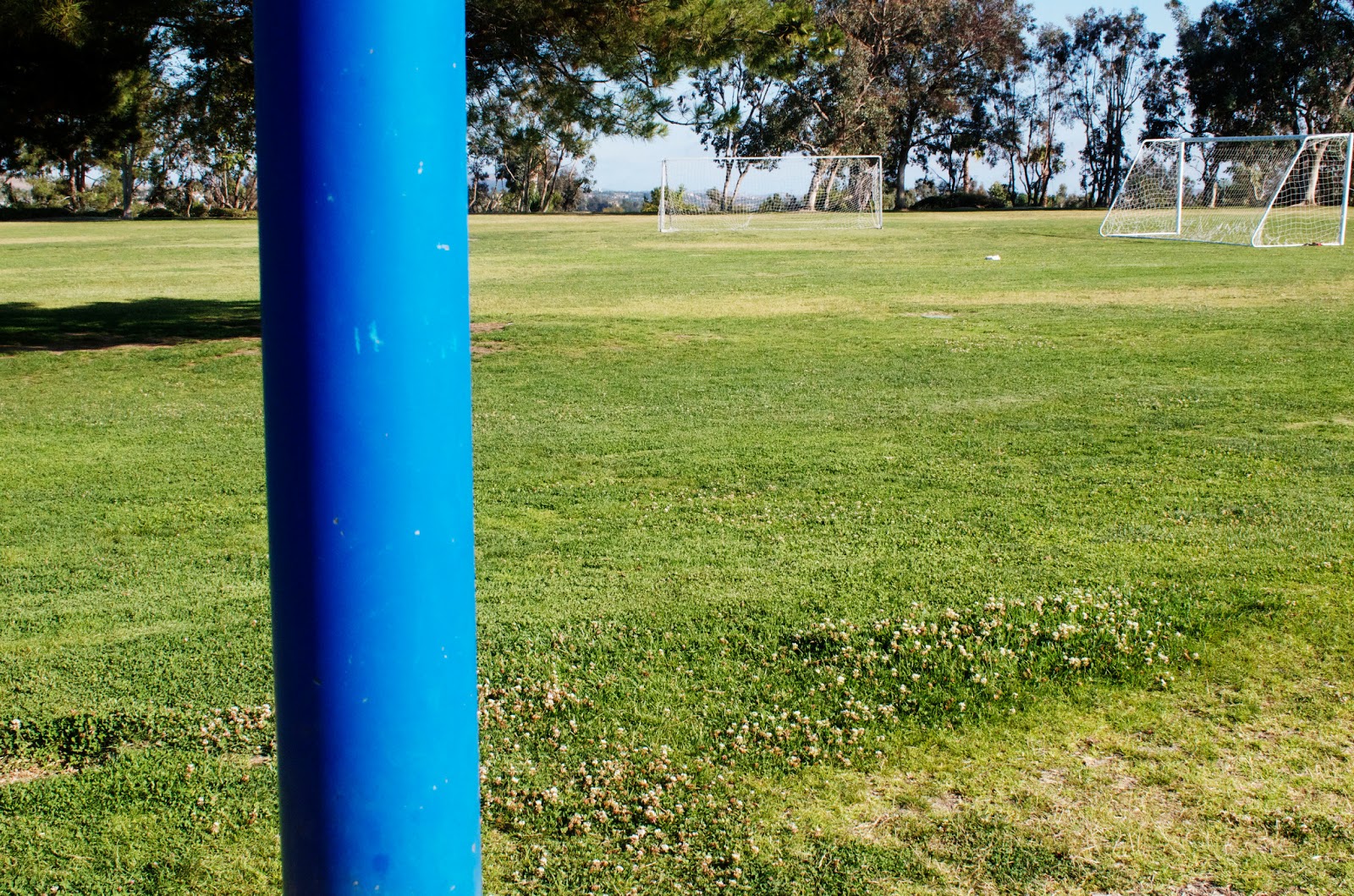 Bathgate Elementary School Cool Colors. Edited Curves Shadows