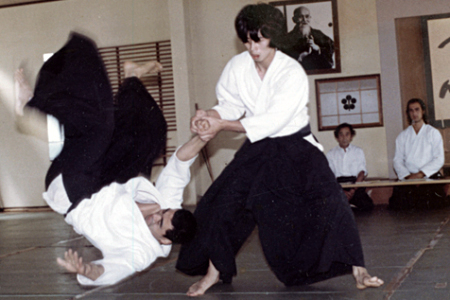 viziune și aikido