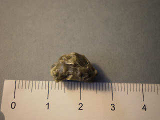 Meteorito Tatahouine diogenita