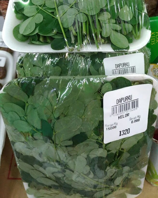 Manfaat Daun Kelor Untuk Pengobatan Diabetes Melitus
