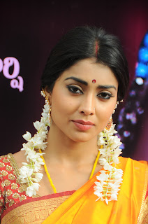 Shriya Saran Stills