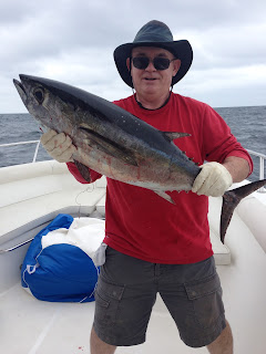 Panacea Fishing - Blackfin Tuna