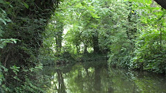 Les hortillonnages d'Amiens