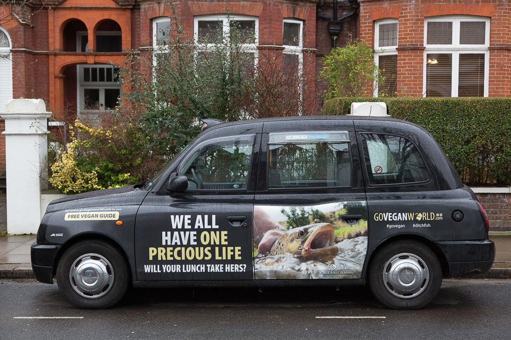 Shadows & Light Peculiar Cars