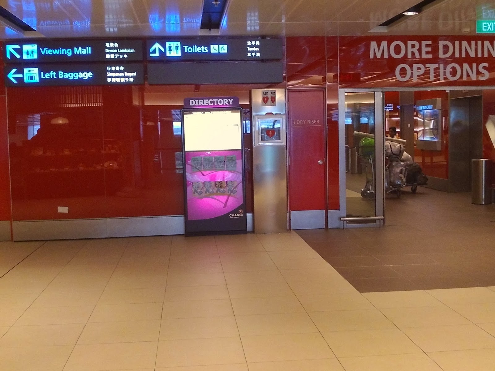 Daily Route Changi airport left luggage